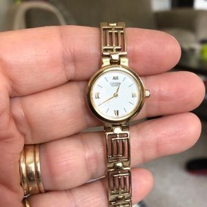 Beautiful Citizen Watch.